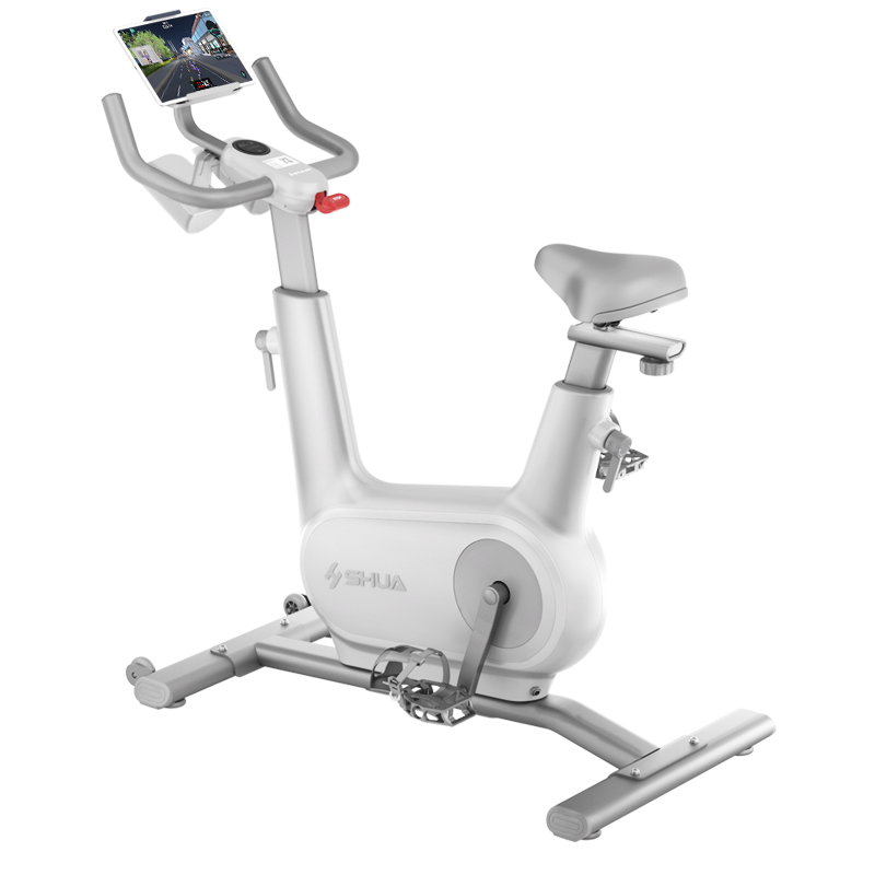 舒华动感单车家用不扰邻智能室内脚踏车运动减肥健身器材B382