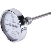 红旗 轴向双金属温度计定制检测款 Y100Z (请备注量程)个