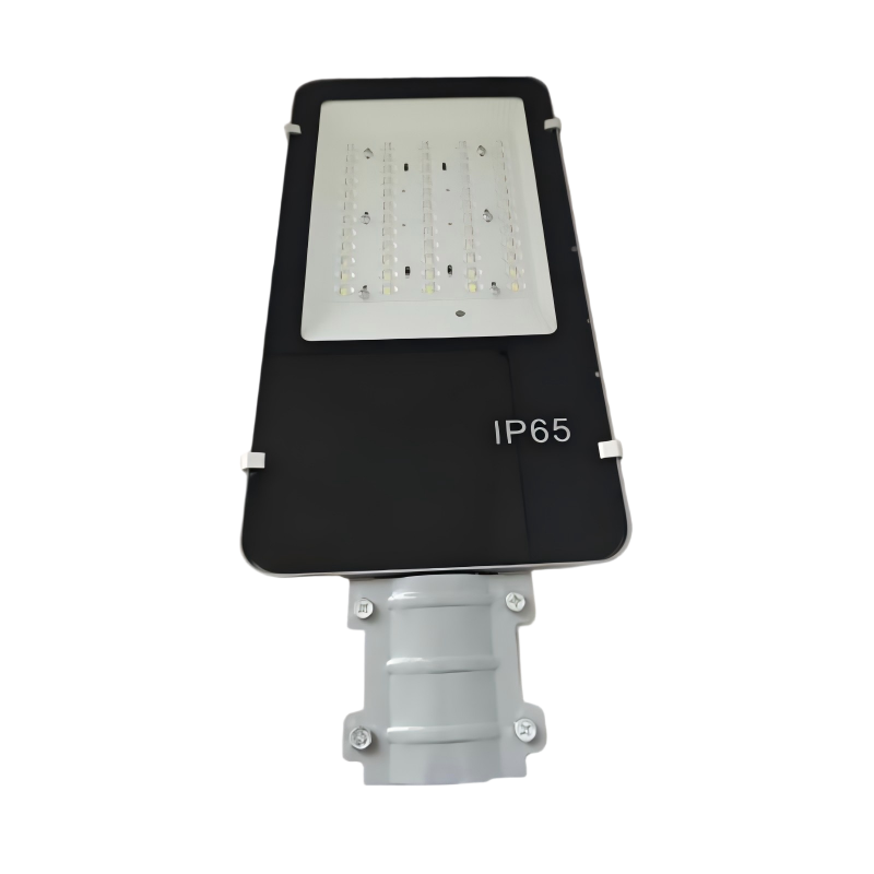 洛安斯 LED路灯市电6米 LASD6A-50W 个