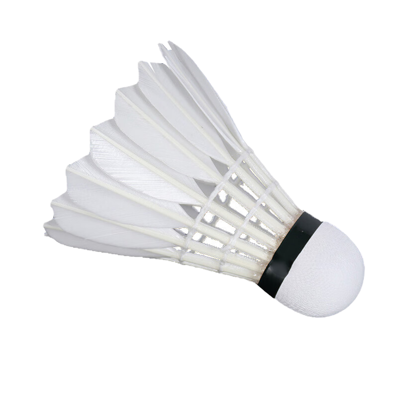 虔羽耐打羽毛球Y5 桶