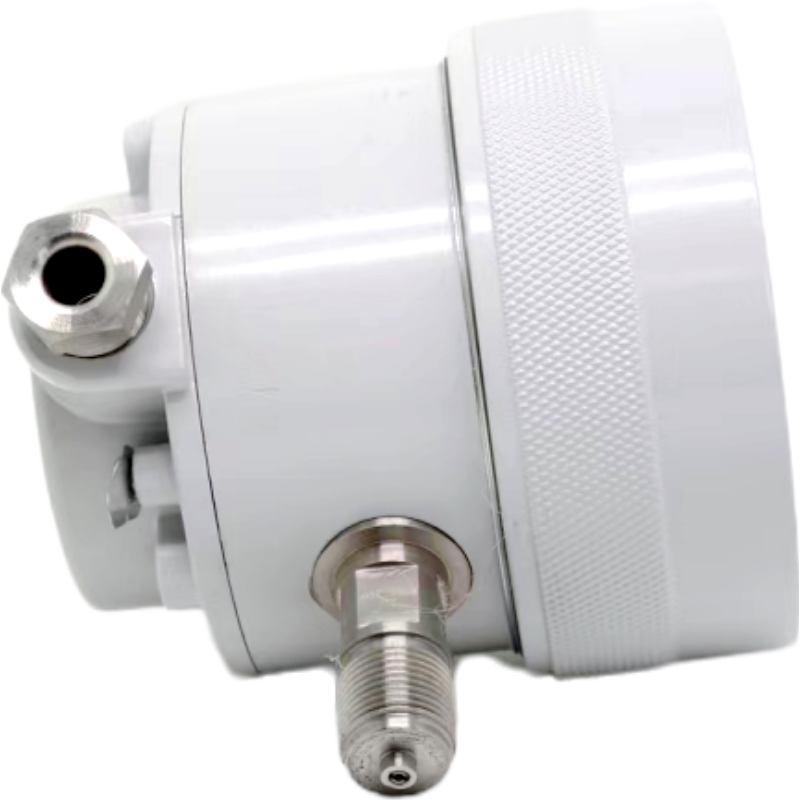 红旗 防爆电接点压力表(定制检测款)YX-100B( 压力值请备注) 块