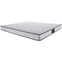 慕思双人天然椰棕床垫整网弹簧偏硬3D椰维康雅典娜 MCW1-033