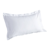 芯笙若梦 白色耐用枕套 500mm*750mm 条