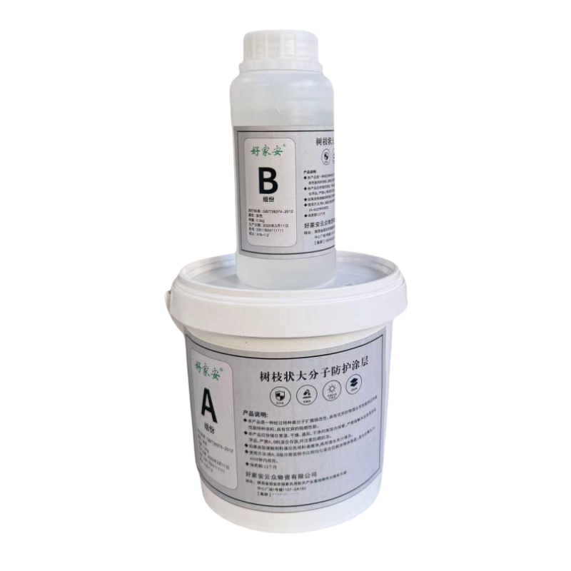 好家安 树枝状大分子防护涂层 银色/1.5kg 单位:组