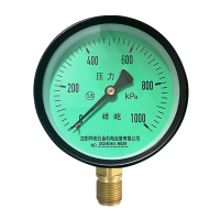 祥屹 风表压力表(绿底) 块