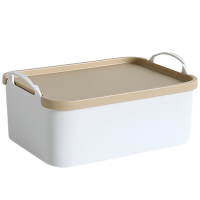 铭思达收纳箱27.5*18*12cm个