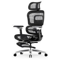 歌德利V1电竞椅家用电脑椅舒适久坐人体工学椅办公椅子分离腰枕办公椅宿舍游戏椅会议椅可躺升降老板椅转椅透气网布竞技椅