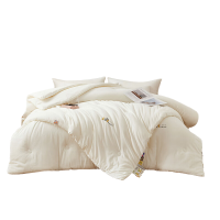 天琴双人被200*230cm柔软舒适贴身亲肤云绒暖豆TQ-B117