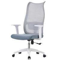凡尔尚人体工学椅