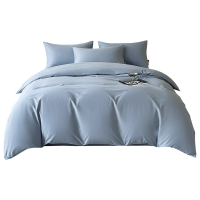 婵思 纯棉纯色致简磨毛四件套