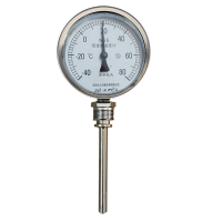 嘉禾长久 双金属温度表 WSS411 -40+80度 块