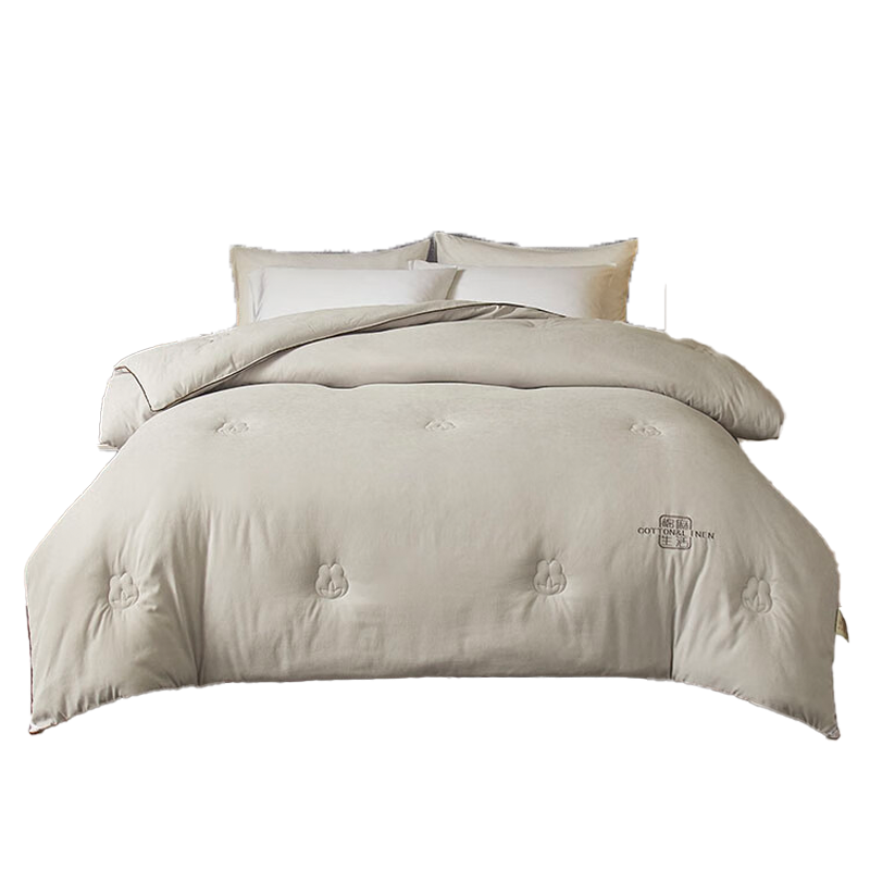 天琴双人被200*230cm柔软舒适贴身亲肤棉麻生活冬被TQ-B107