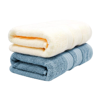 最生活风华系列毛巾2条Z-8828
