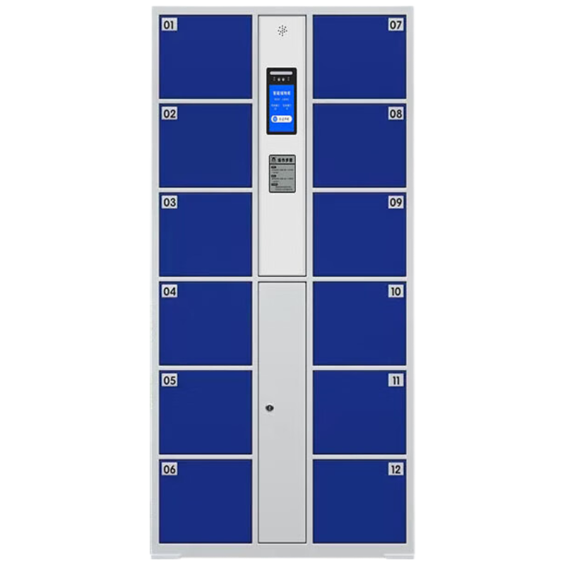 锦北电子存包柜物品存取柜员工储物柜手机寄存柜铁皮柜 12门人脸识别