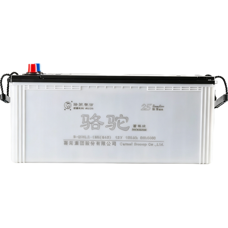 骆驼 蓄电池12V200Ah 6-QWLZ-200 只