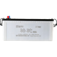 骆驼 蓄电池12V200Ah 6-QWLZ-200 只