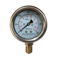 嘉禾长久 耐震压力表检测型 YTN40 块