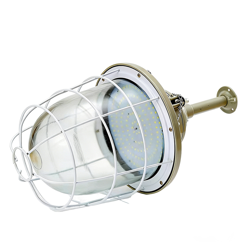 西瑞思 led防爆灯隔爆型工厂照明灯吊灯仓库灯加油站灯防爆灯罩 XRS-FBDL 50W 个