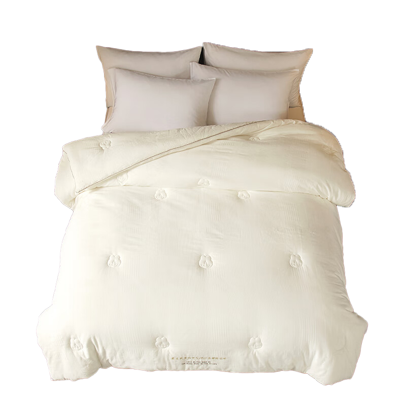 天琴双人被200*230cm柔软舒适简爱珍珠蛋白被TQ-B108