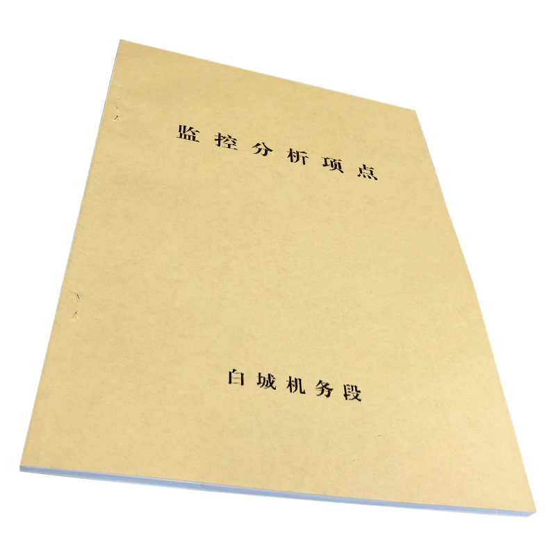 铁凇 监控分析项点 210*297mm 册