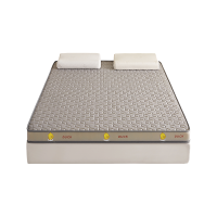 弗切尔珀榕 硅胶海绵立体床垫