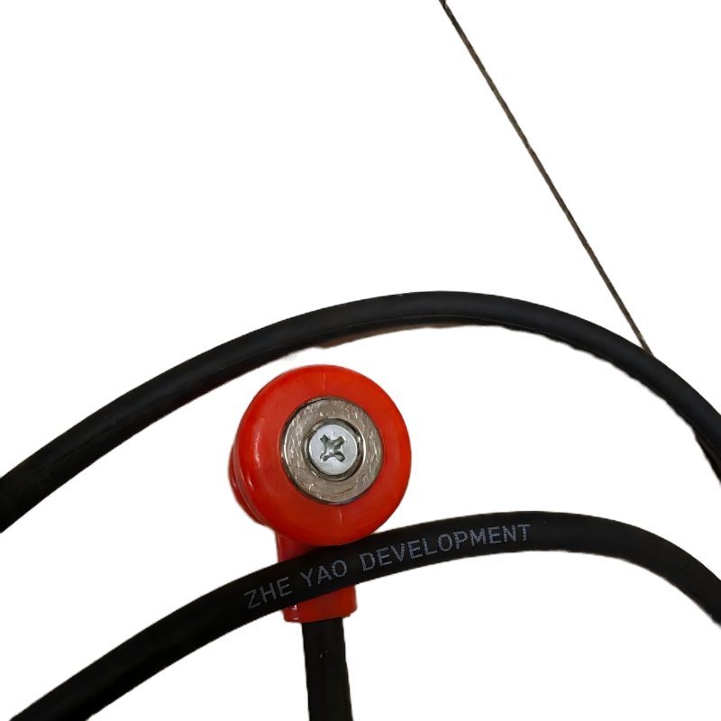 ZHE YAO DEVELOPMENT 分路线 2m带灯 个