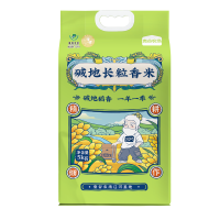袁谷碱地长粒香米10斤 东北大米 盘锦地标 GB/T18824 当季新米 粳米