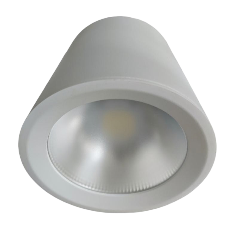 洛安斯 LED明装筒灯 TD80W 个