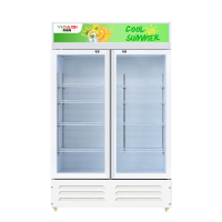 意黛斯(YIDAISI)展示柜冷藏饮料柜商用冰箱立式保鲜柜便利店超市冰柜啤酒冷饮柜 双门款YDS-JSG-1200