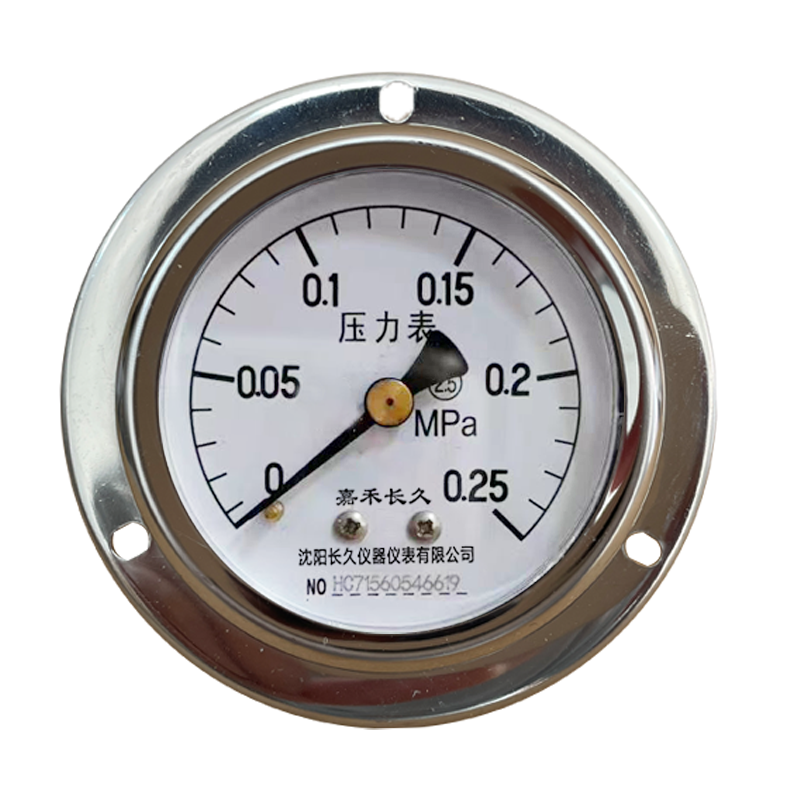 嘉禾长久 轴向带边压力表检测型 Y60ZT 块