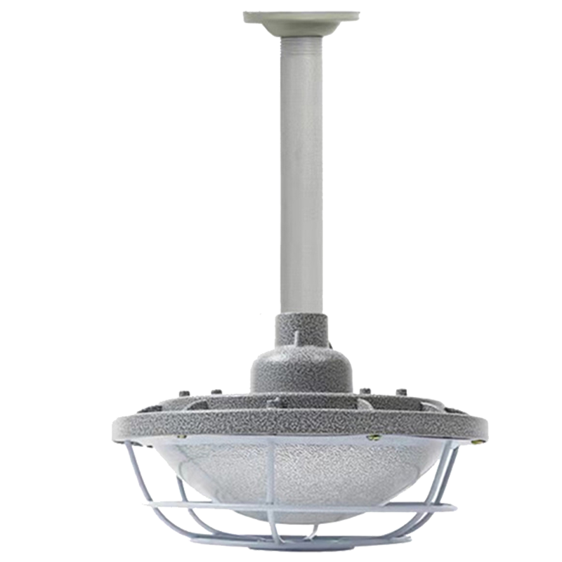 西瑞思 LED防爆灯 地雷灯 XRS-FBDD1/只(壁装式)