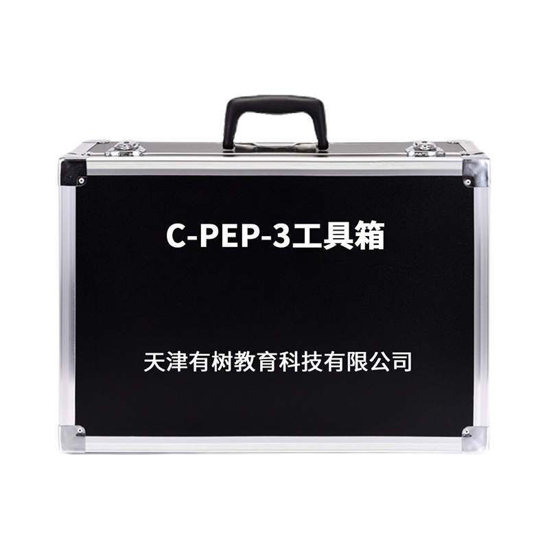 有树 YSXL-CPEP3 C-PEP-3自闭症孤独症量表儿童测试减压专业早教教具
