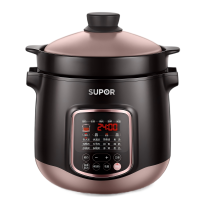苏泊尔SUPOR多功能电炖锅DG60YC13 6L