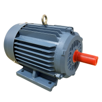 嘉禾宜茂 抛丸器电机 7.5KW 台