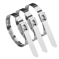 喜来邦(XILAIBANG) 不锈钢扎带/10*500mm/根