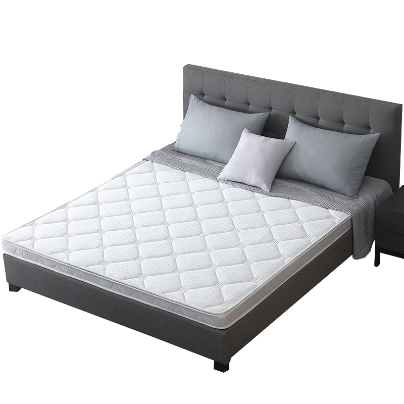 伊伊爱 针织布棕榈床垫