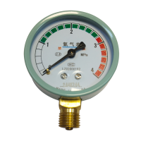 皖天迈苏 氧气表 MS标准款 块