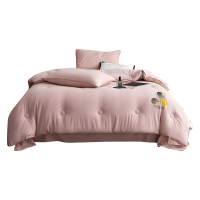 伊伊爱 亲肤云绵立体20大豆春秋被 礼袋装