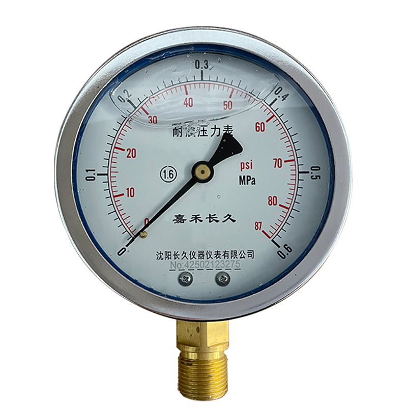 嘉禾长久 耐震压力表(带辽宁省级检定证书) YTN100 块