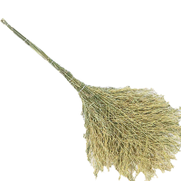 豫凯达环卫扫把2米把