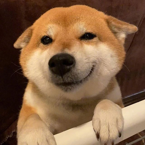 妆可爱
