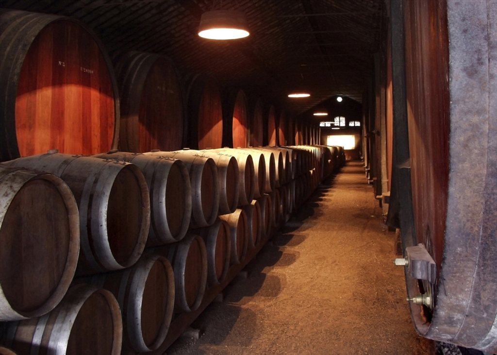 廷漢企業有限公司 最新消息