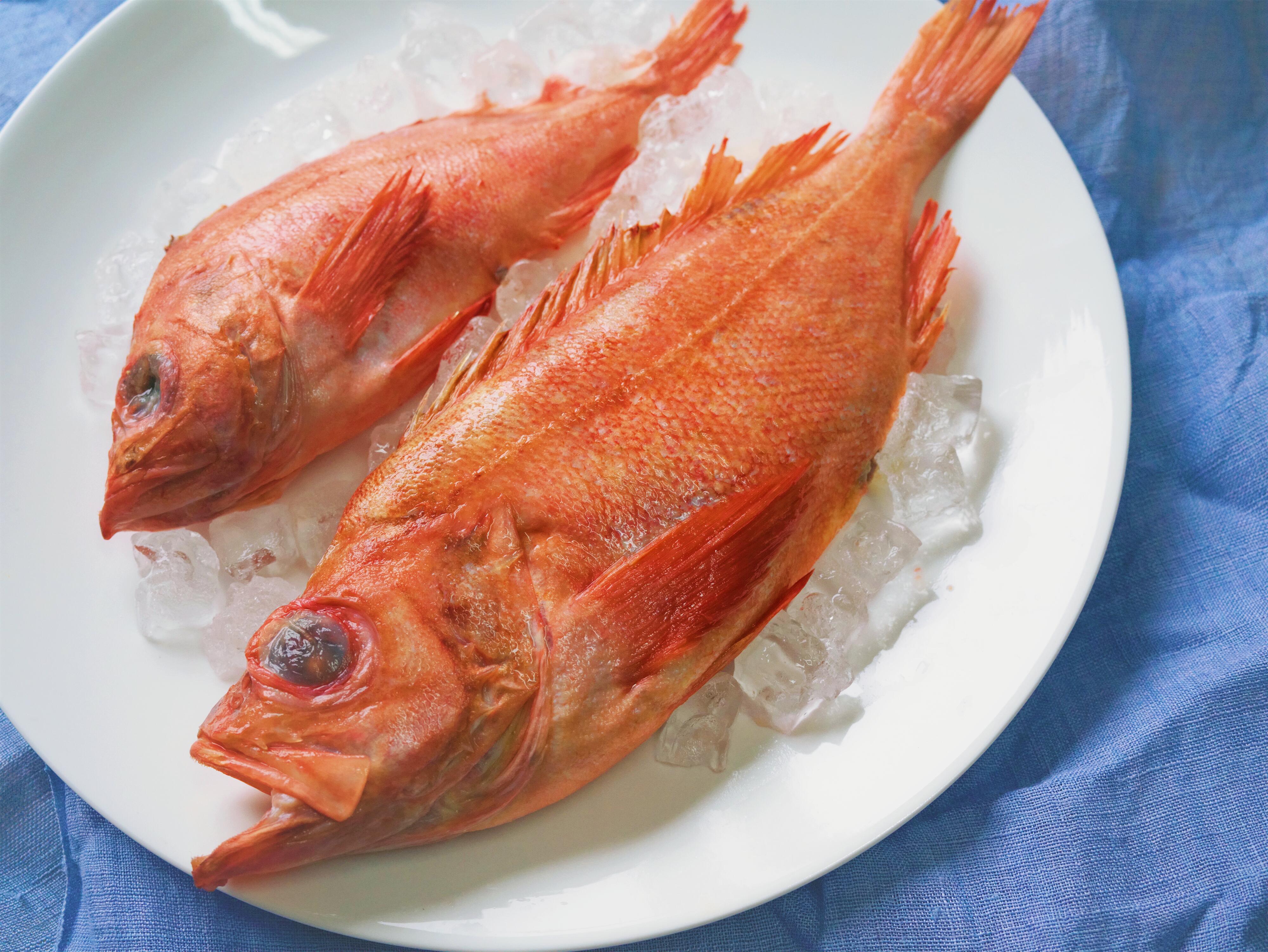 为什么unit1渔场的加拿大红鱼个头小更鲜美