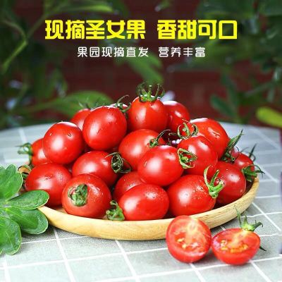 山东新鲜圣女果新鲜水果蔬菜农家自种无公害净重