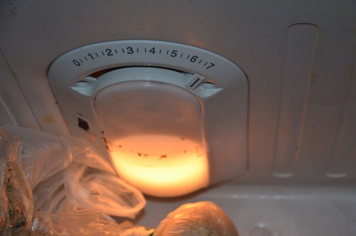 冰箱调高温度怎么调『冰箱调温度怎么调省电』