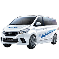 上汽大通MAXUS EG10 9.9元定金享惊喜车主礼包