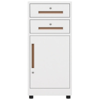 鑫金虎 文件柜矮柜办公柜铁皮柜抽屉矮柜带锁阳台储物柜小柜子