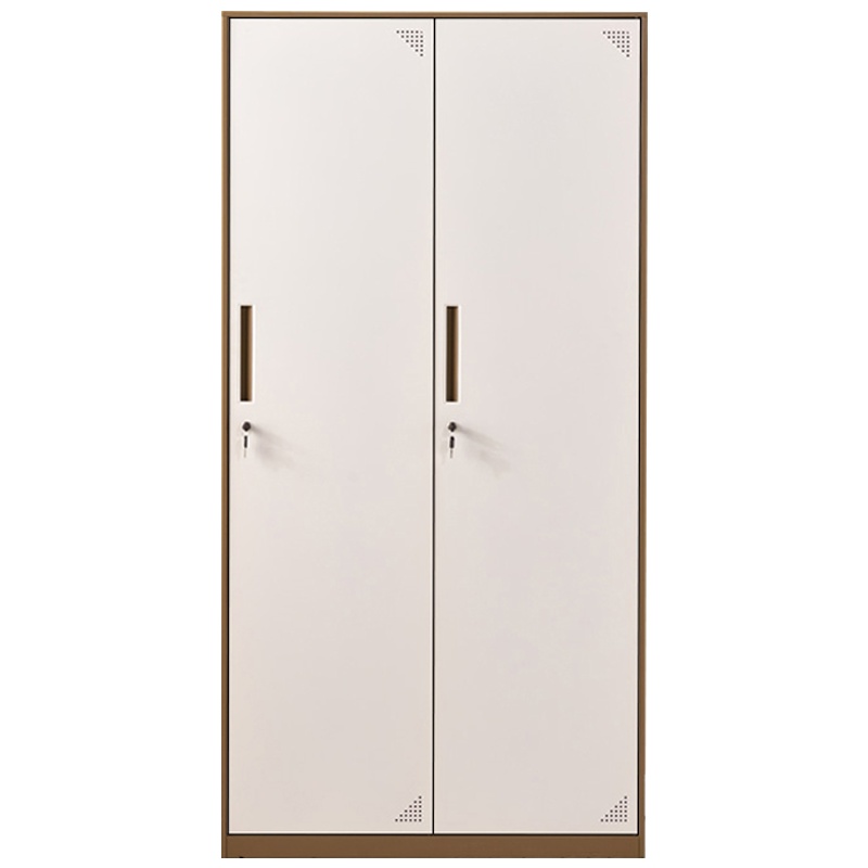 创世人 办公家具拆装办公更衣柜咖色铁皮柜2门更衣柜员工宿舍换衣柜带锁衣帽柜储物柜子