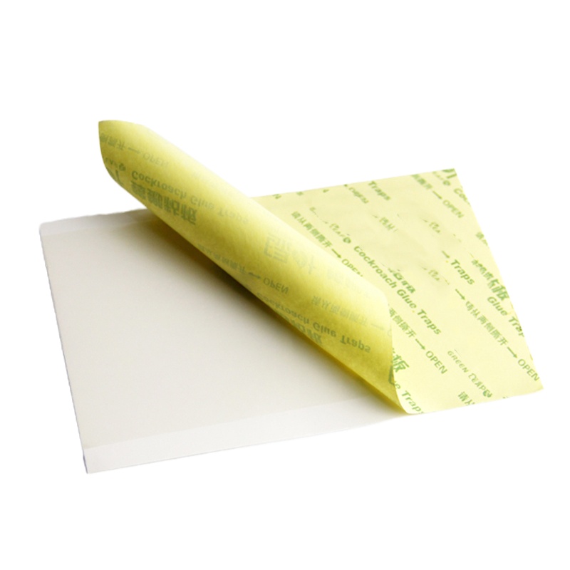 AT 螂贴强力灭蟑螂药粉家用无环保毒蟑螂屋蟑螂粘板 10片