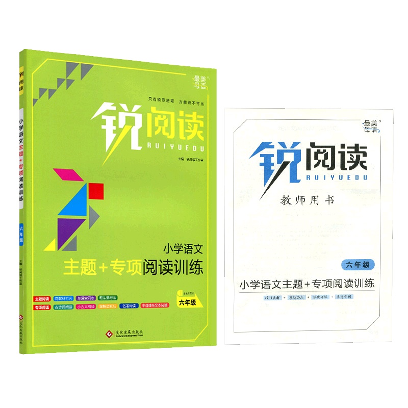 [正版2022版]锐阅读主题+专项阅读训练 小学语文六年级全册 6年级上下册通用小学生阅读专项训练技巧点拨阶梯训练趣